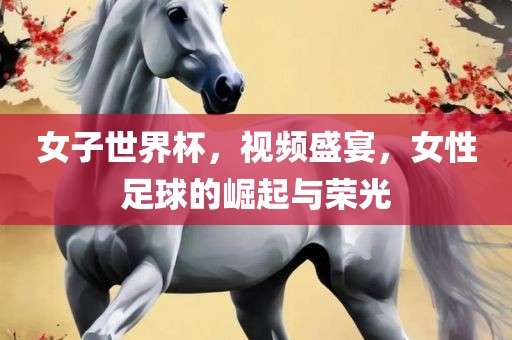 女子世界杯，视频盛宴，女性足球的崛起与荣光