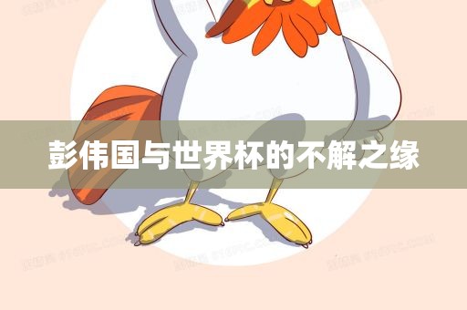 彭伟国与世界杯的不解之缘洛阳市法福文化传播有限公司