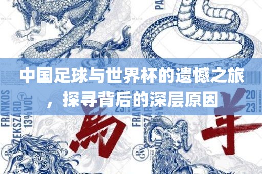 中国足球与世界杯的遗憾之旅，探寻背后的深层原因