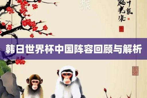 韩日世界杯中国阵容回顾与解析