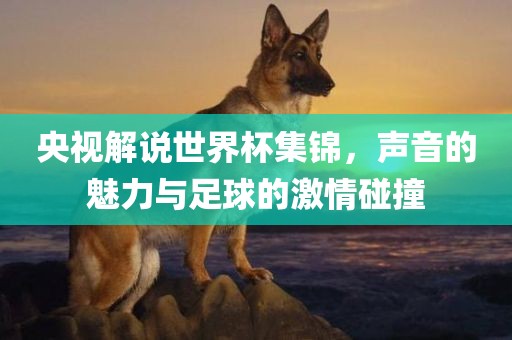 央视解说世界杯集锦，声音的魅力与足球的激情碰撞
