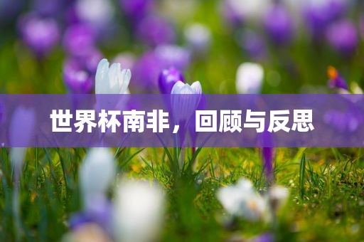 liziping 第11页