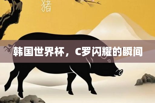 韩国世界杯，C罗闪耀的瞬间