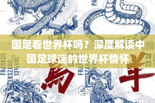 国足看世界杯吗？深度解读中洛阳市法福文化传播有限公司国足球迷的世界杯情怀