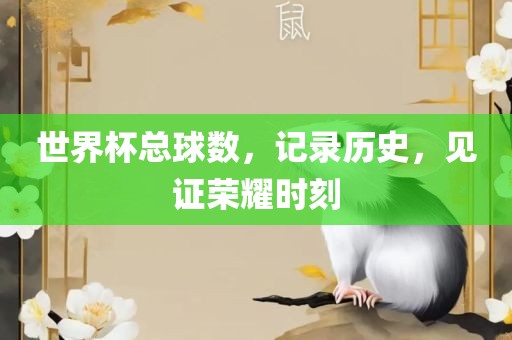 世界杯总球数，记录历史，见证荣耀时刻