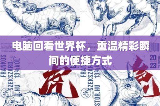 电脑回看世界杯，重温精彩瞬间的便捷方式