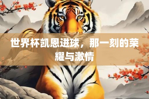 世界杯凯恩进球，那一刻的荣耀与激情
