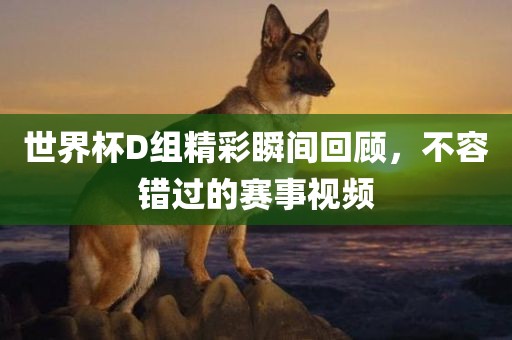 世界杯D组精彩瞬间回顾，不容错过的赛事洛阳市法福文化传播有限公司视频