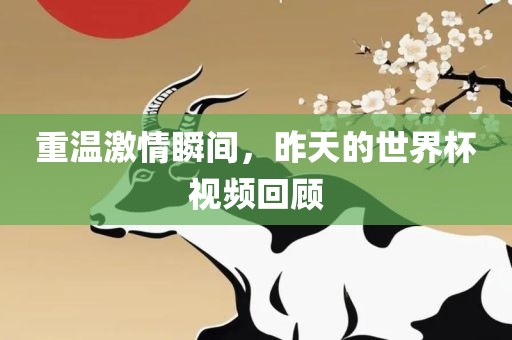 重温激情瞬间，昨天的世界杯视频回顾