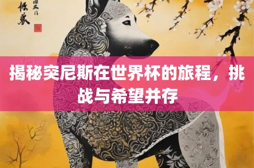 揭秘突尼斯在世界杯的旅程，挑战与希望并存