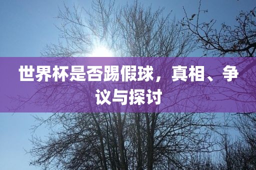 世界杯是否踢假球，真相、争议与探讨洛阳市法福文化传播有限公司