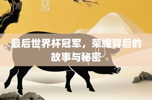 最后世界杯冠军，荣耀背后的故事与秘密