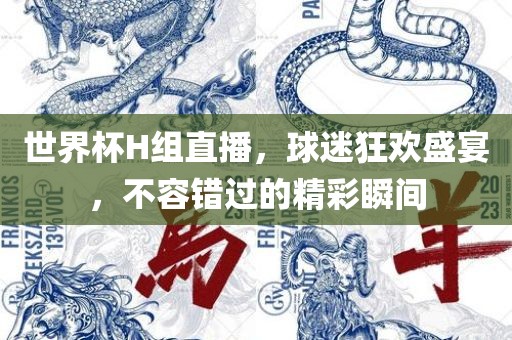 世界杯H组直播，球迷狂欢盛宴，不容错过的精彩瞬间洛阳市法福文化传播有限公司