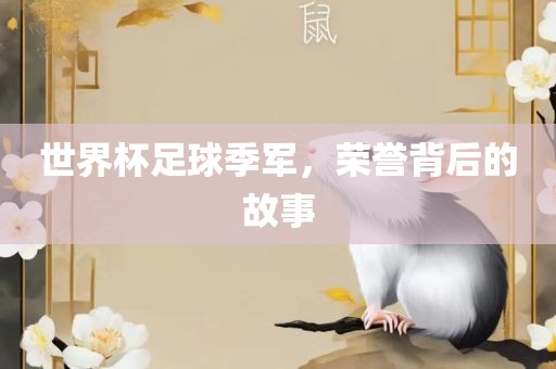 世界杯足球季军，荣誉背后的故事洛阳市法福文化传播有限公司