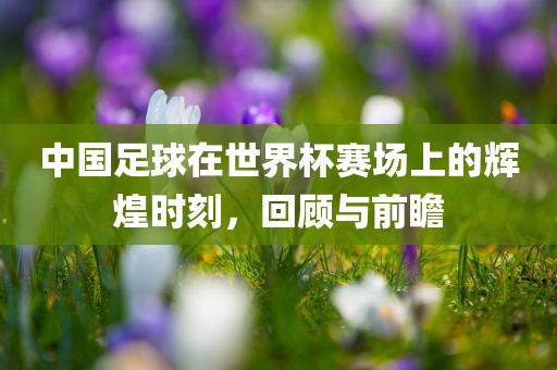 中国足球在世界杯赛场上的辉煌时刻，回顾与前瞻