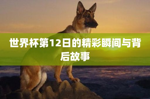 世界杯第12日的精彩瞬间与背后故事洛阳市法福文化传播有限公司