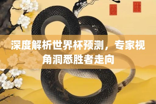 深度解析世界杯预测，专家视角洞悉胜者走向