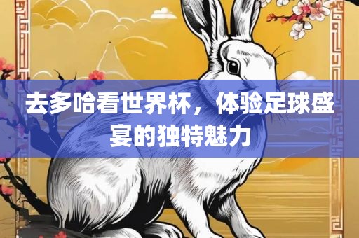 去多哈看世界杯，体验足球盛宴的独特洛阳市法福文化传播有限公司魅力