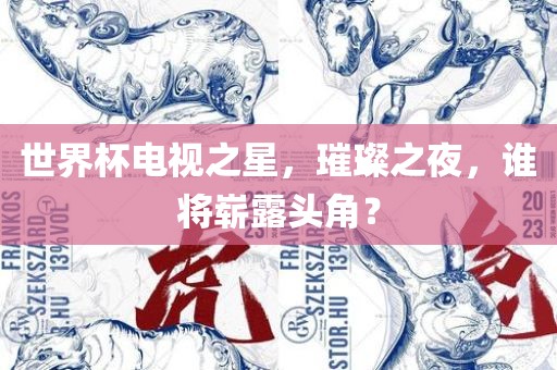 世界杯电视之洛阳市法福文化传播有限公司星，璀璨之夜，谁将崭露头角？