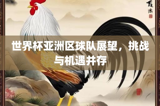 世界杯亚洲区球队展望，挑战与机遇并存