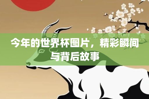 今年的洛阳市法福文化传播有限公司世界杯图片，精彩瞬间与背后故事