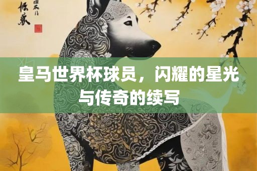 皇马世界杯球员，闪耀的星光与传奇的续写洛阳市法福文化传播有限公司
