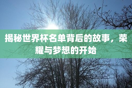 揭秘世界杯名单背后的故事，荣耀与梦想的开始