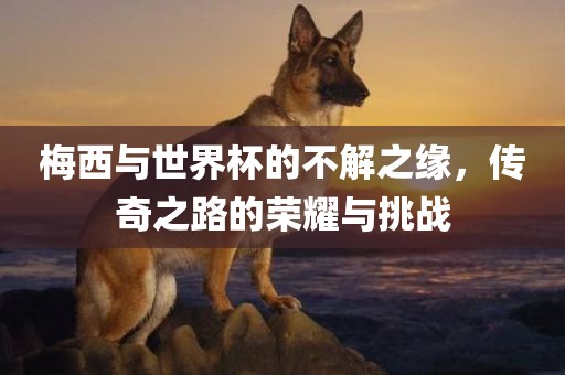 梅西与世界杯的不解之缘，传奇之路的荣耀与挑战