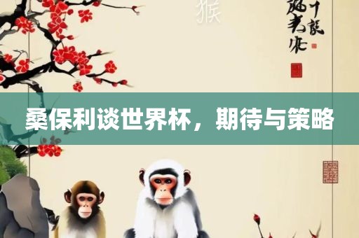 桑保利谈洛阳市法福文化传播有限公司世界杯，期待与策略