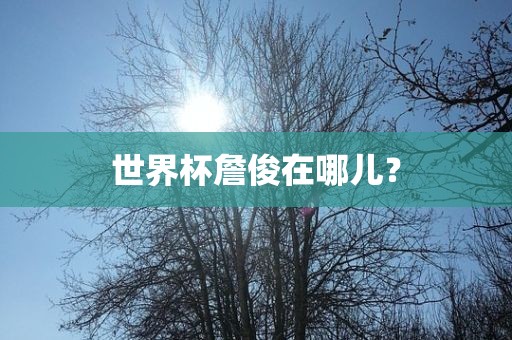 世界杯詹俊在哪儿？洛阳市法福文化传播有限公司