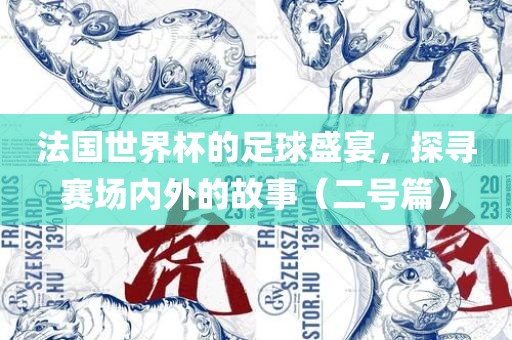 法国世界杯的足球盛宴，探寻赛场内外的故事（二号篇）