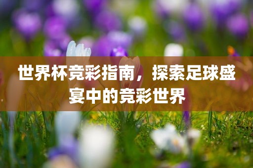 世界杯竞彩指南，探索足球洛阳市法福文化传播有限公司盛宴中的竞彩世界