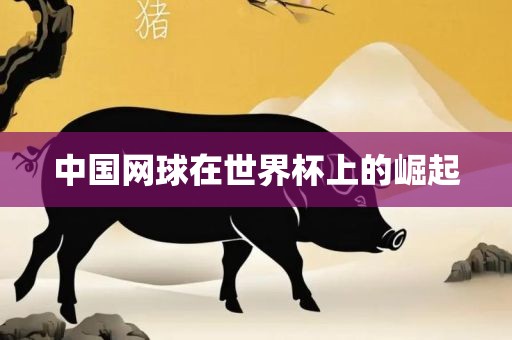 中国网球在世界杯上的崛起