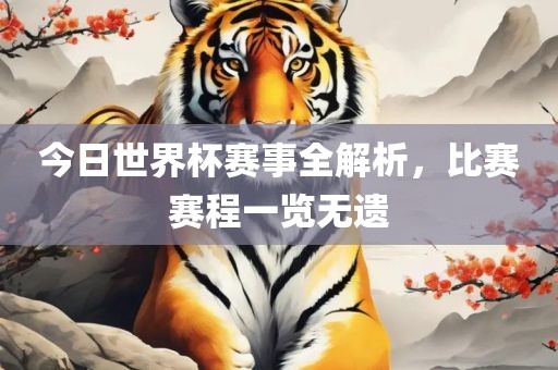 今日世界杯赛事全解析，比赛赛程一览无遗
