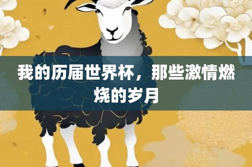 我的历届世界杯，那些激情燃烧的岁月