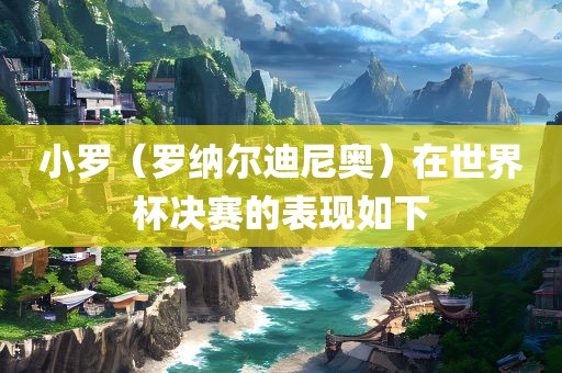小罗（罗纳尔迪尼奥）在世界杯决赛的表现如下洛阳市法福文化传播有限公司