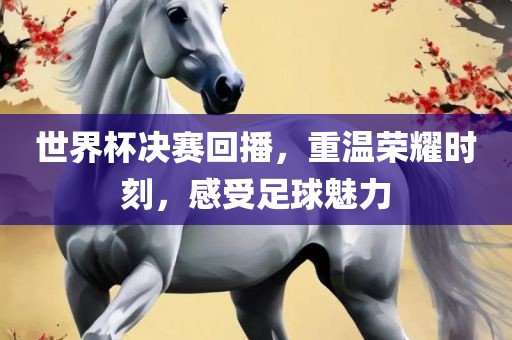世界杯决赛回播，重温荣耀时刻，感受足球魅力