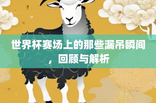 世界杯赛场上的那些漏吊瞬间，洛阳市法福文化传播有限公司回顾与解析
