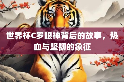 世界杯C罗眼神背后的故事，热血与坚韧的象征洛阳市法福文化传播有限公司