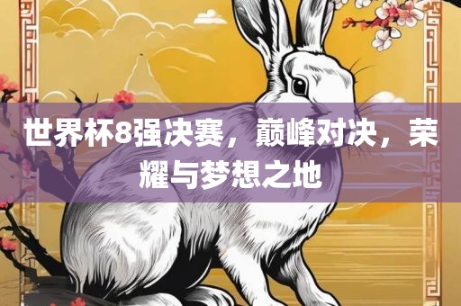 世界杯8强决赛，巅峰对决，荣耀与梦想之地