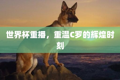 世界杯重播，重温C罗的辉煌时刻
