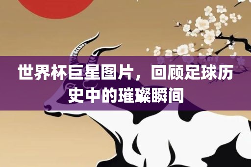 世界杯巨星图片，回顾足球历史中的璀璨瞬间