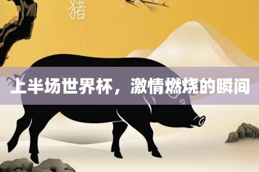 上半场世界杯，激情燃烧的瞬间