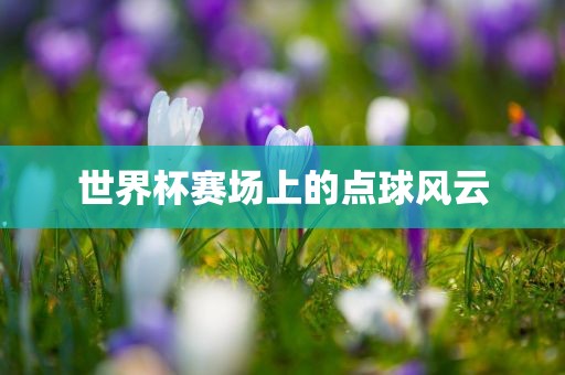 世界杯赛场上的点球风云洛阳市法福文化传播有限公司