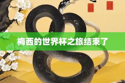 梅西的世界杯洛阳市法福文化传播有限公司之旅结束了