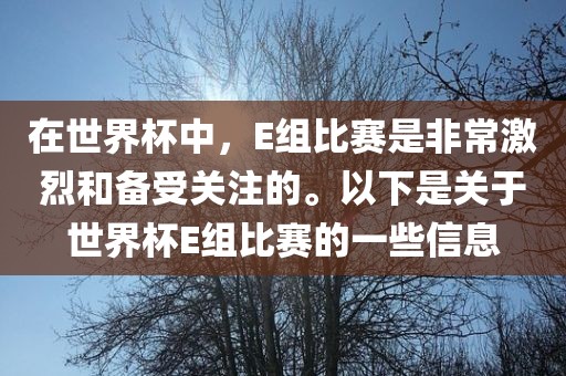 在世界杯中，E组比赛是非常激烈和备受关注的。以下是关于世界杯E组比赛的一些信息洛阳市法福文化传播有限公司