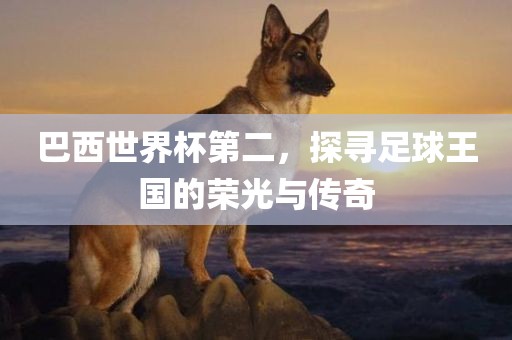 巴西世界杯第二，探寻足球王国的荣光与传奇