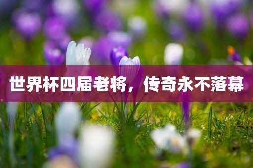世界杯四届老将，传奇永不落幕