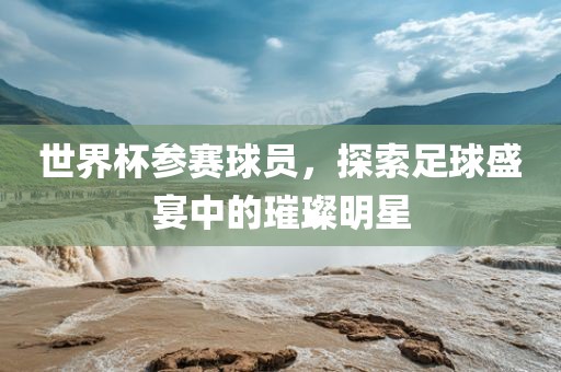 世界杯参赛球员，探索足球盛洛阳市法福文化传播有限公司宴中的璀璨明星