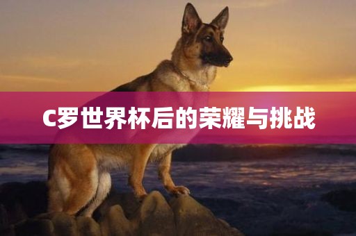 C罗世界杯后的荣耀与挑战洛阳市法福文化传播有限公司